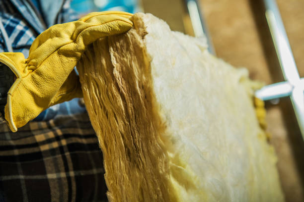 Best Insulation Installation Services in Lincolnton, GA